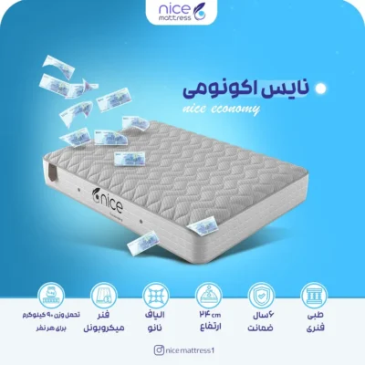 تشک نایس اکونومی